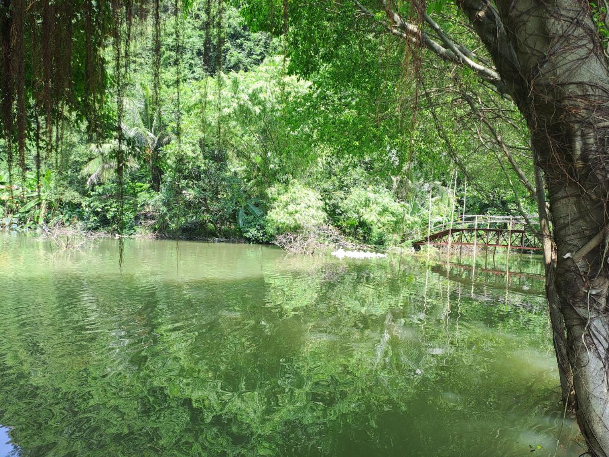 Thung Sen Tam Coc Chalets Ninh Bình Exteriör bild
