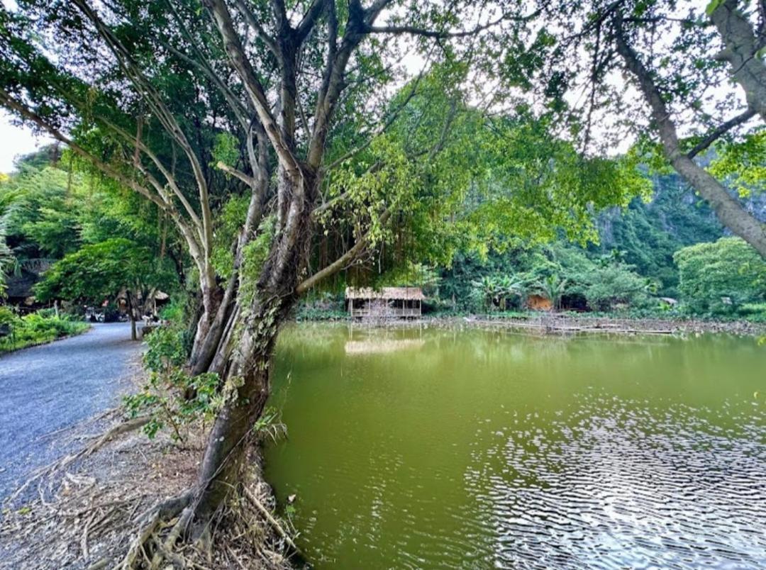 Thung Sen Tam Coc Chalets Ninh Bình Exteriör bild