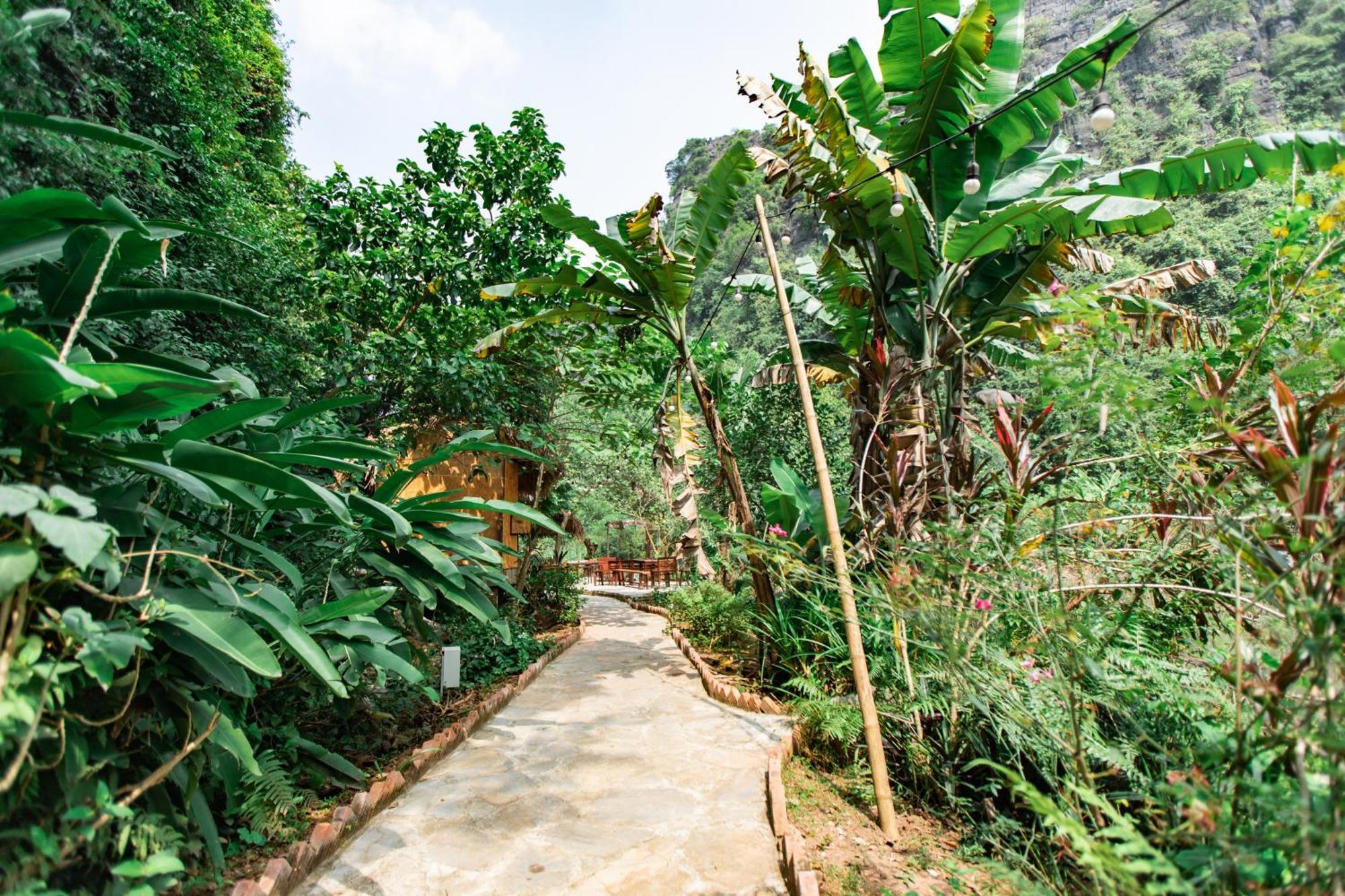 Thung Sen Tam Coc Chalets Ninh Bình Exteriör bild