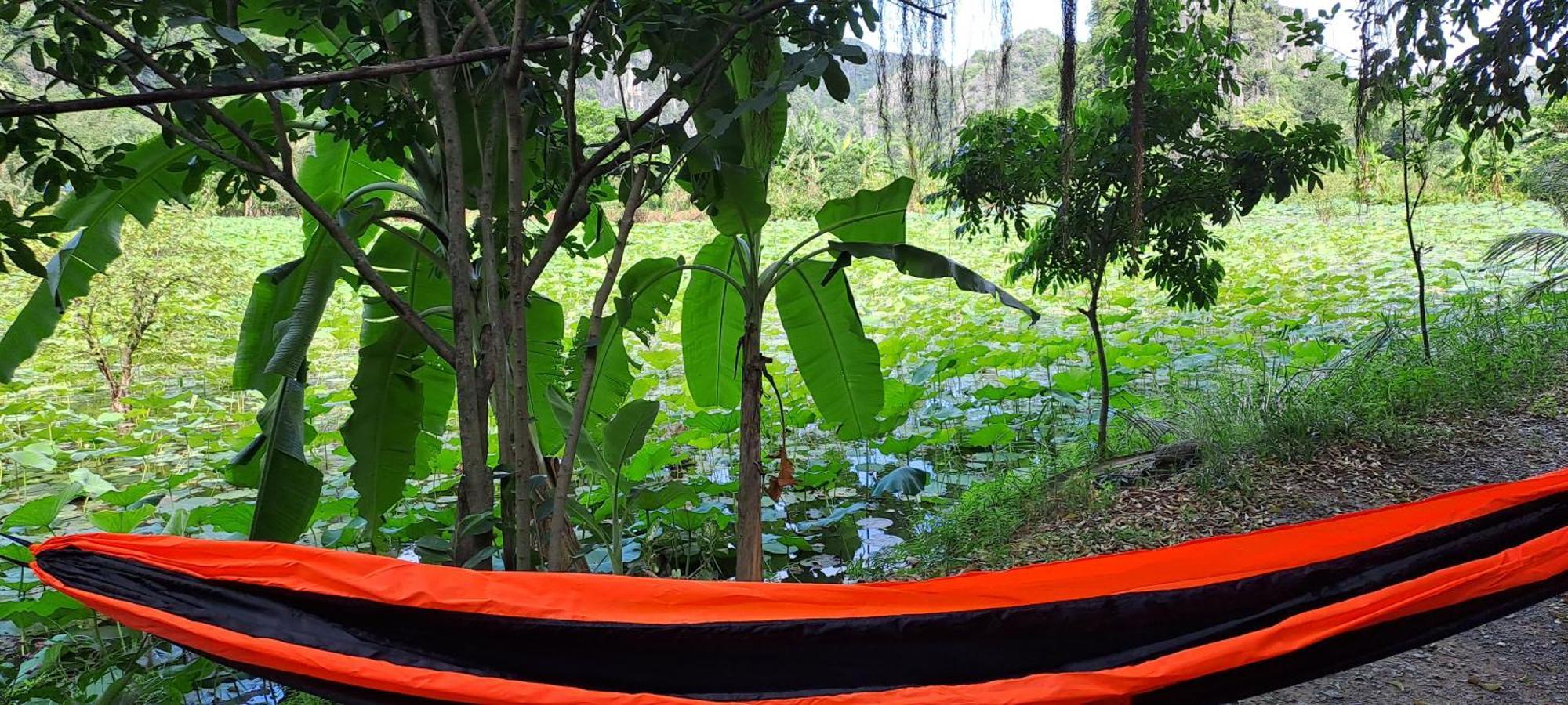 Thung Sen Tam Coc Chalets Ninh Bình Exteriör bild